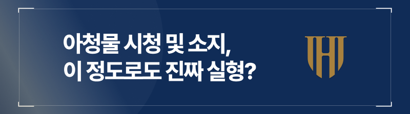 아청물 시청 및 소지는 실형에 처하는 사안입니다